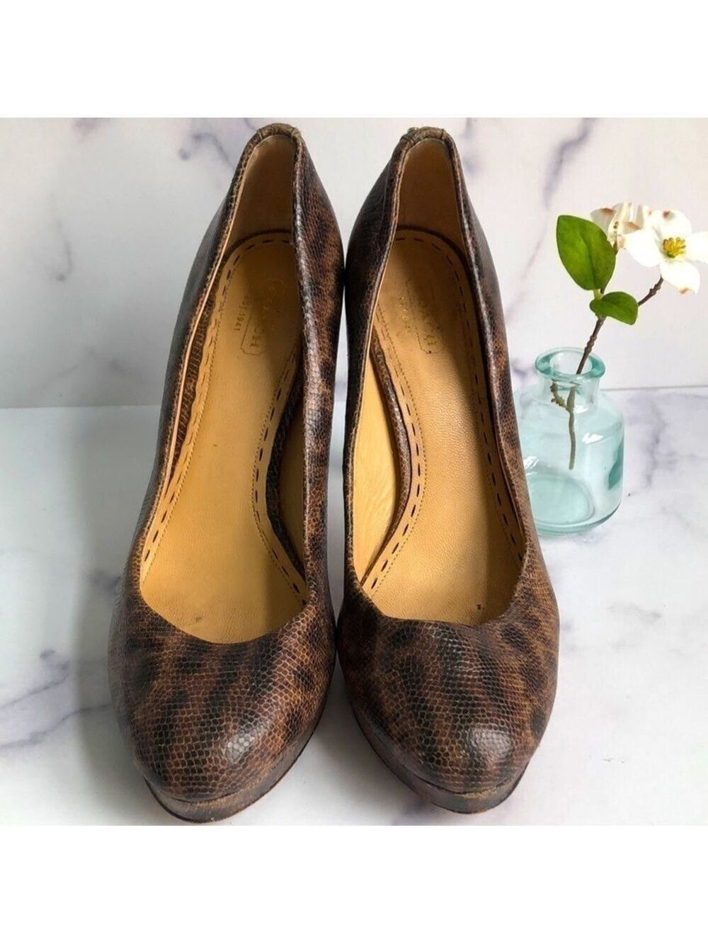 Coach Snakeskin Platform High Heel Pumps Brown Size 8.5B
